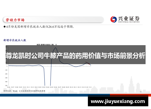 尊龙凯时公司牛膝产品的药用价值与市场前景分析