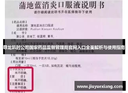 尊龙凯时公司国家药品监督管理局官网入口全面解析与使用指南